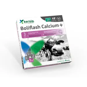 Kersia Boliflash Calcium+ - 12 Bolussen Kersia Boliflash Calcium+ - 12 Bolussen