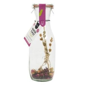 Pineut Watertwist Karaf Roos Bergthee Hibiscus