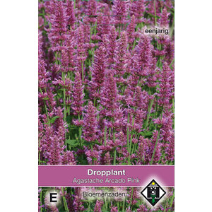 Van Hemert & Co Zaden Dropplant