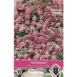 Van Hemert & Co Zaden Schildzaad