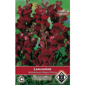 Van Hemert & Co Zaden Leeuwenbek