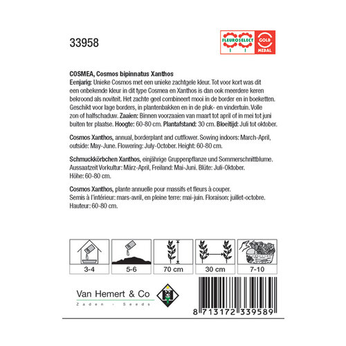 Van Hemert & Co Zaden Cosmea - Cosmos Bipinnatus Xanthos Van Hemert & Co Zaden Cosmea - Cosmos Bipinnatus Xanthos