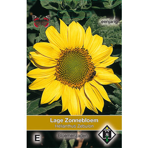 Van Hemert & Co Zaden Lage Zonnebloem