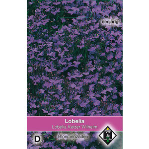 Van Hemert & Co Zaden Lobelia