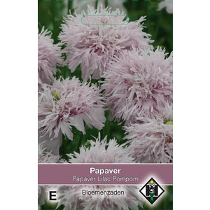 Van Hemert & Co Zaden Papaver