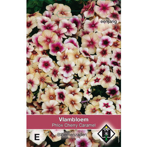 Van Hemert & Co Zaden Vlambloem