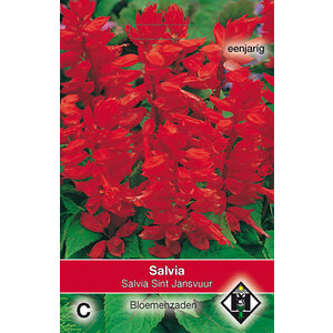 Van Hemert & Co Zaden Salvia