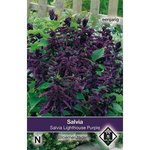 Van Hemert & Co Zaden Salvia