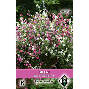 Van Hemert & Co Zaden Silene