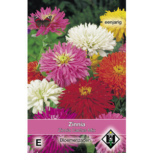 Van Hemert & Co Zaden Zinnia