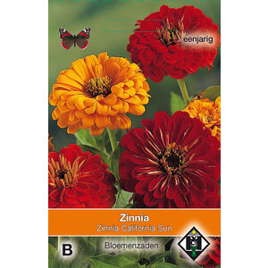 Van Hemert & Co Zaden Zinnia Van Hemert & Co Zaden Zinnia