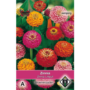 Van Hemert & Co Zaden Zinnia Van Hemert & Co Zaden Zinnia