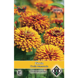 Van Hemert & Co Zaden Zinnia Van Hemert & Co Zaden Zinnia