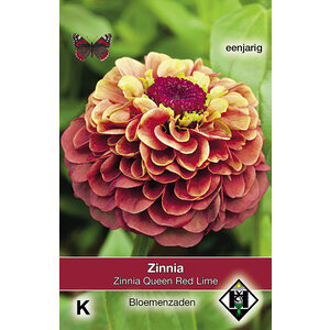 Van Hemert & Co Zaden Zinnia