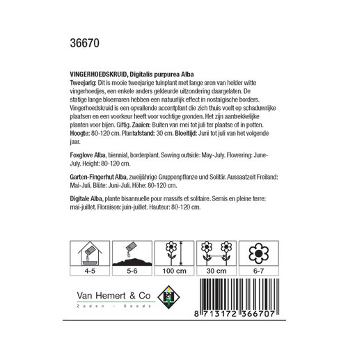 Van Hemert & Co Zaden Vingerhoedskruid - Digitalis purpurea Alba