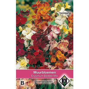 Van Hemert & Co Zaden Muurbloemen
