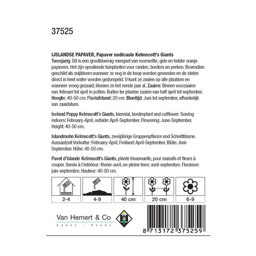 Van Hemert & Co Zaden IJslandse Papaver - Papaver nudicaule Kelmscott's Giants Van Hemert & Co Zaden IJslandse Papaver - Papaver nudicaule Kelmscott's Giants