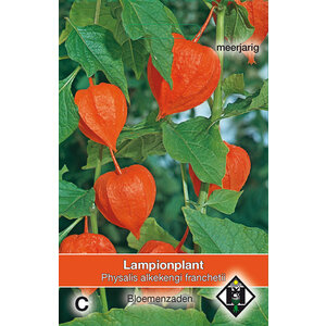 Van Hemert & Co Zaden Lampionplant