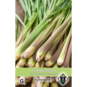 Van Hemert & Co Zaden Citroengras