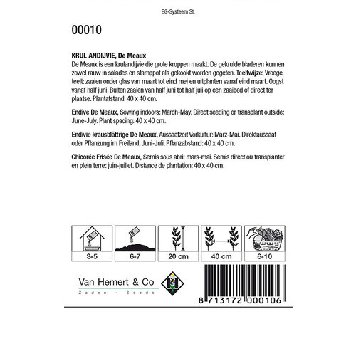 Van Hemert & Co Zaden Krul Andijvie - De Meaux