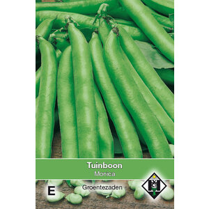Van Hemert & Co Zaden Tuinboon - 60gr.