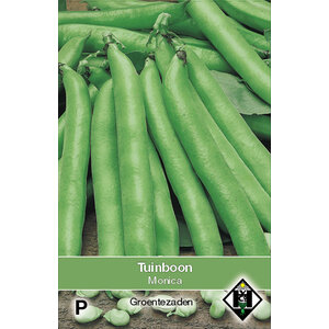 Van Hemert & Co Zaden Tuinboon - 180gr.