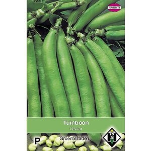 Van Hemert & Co Zaden Tuinboon - 180gr.