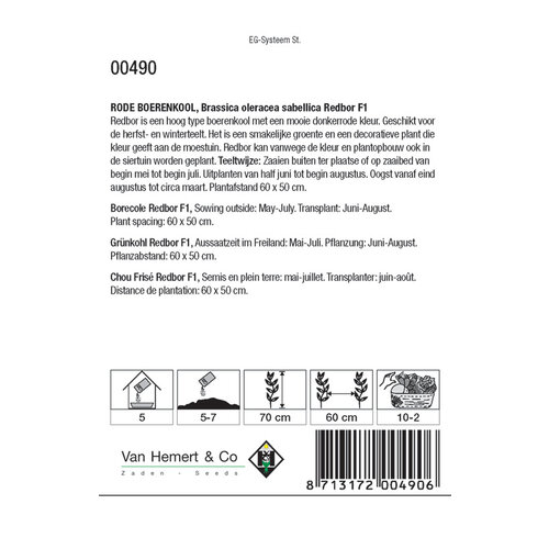Van Hemert & Co Zaden Rode boerenkool - Red Bor F1 Van Hemert & Co Zaden Rode boerenkool - Red Bor F1