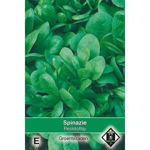 Van Hemert & Co Zaden Spinazie - 35gr.