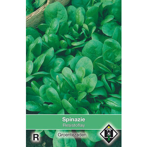 Van Hemert & Co Zaden Spinazie - 150gr.