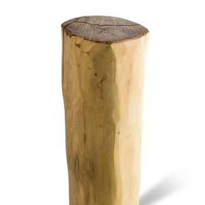 Duurzaam Hout Robinia 4M. Ã˜ 20/25