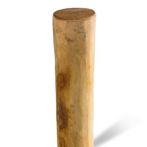 Duurzaam Hout Robinia 4M. Ã˜ 14/16