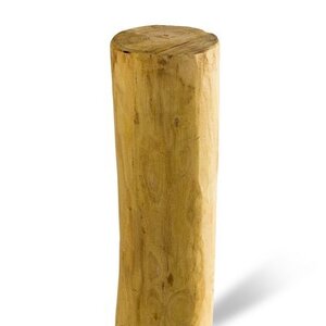 Duurzaam Hout Robinia 2,5M. Ã˜ 16/18