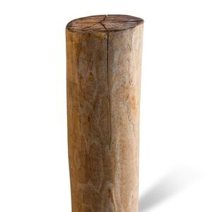 Duurzaam Hout Robinia 2,5M. Ã˜ 12/14