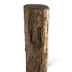 Duurzaam Hout Robinia 5M. Ã˜ 16/18