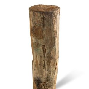 Duurzaam Hout Robinia 4M. Ã˜ 18/20