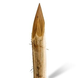 Duurzaam Hout Robinia 3M. Ø 10/12