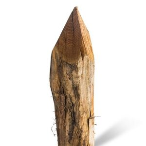 Duurzaam Hout Robinia 2,5M. Ã˜ 16/18