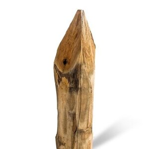 Duurzaam Hout Robinia 2M. Ø 18/20