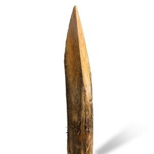 Duurzaam Hout Robinia 1,8M. Ã˜ 10/12