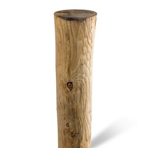 Duurzaam Hout Kastanje 4M. Ã˜ 10/12 A+