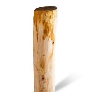 Duurzaam Hout Kastanje 1M. Ø 08/10 A+