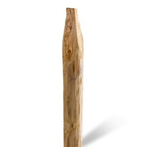 Duurzaam Hout Kastanje 1,5M. Ø 06/08 A+