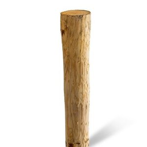 Duurzaam Hout Kastanje 1,5M. Ø 06/08 A+