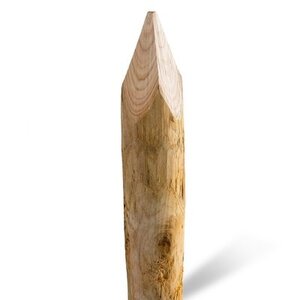 Duurzaam Hout Kastanje 1,5M. Ø 10/12 A+