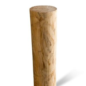 Duurzaam Hout Kastanje 1,5M. Ø 12/14 A+
