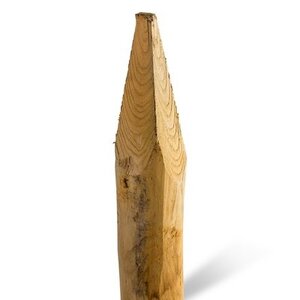 Duurzaam Hout Kastanje 1,5M. Ø 14/16 A+