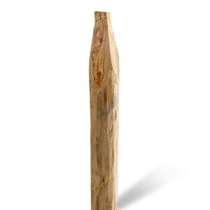 Duurzaam Hout Kastanje 2,5M. Ã˜ 04/06 A+