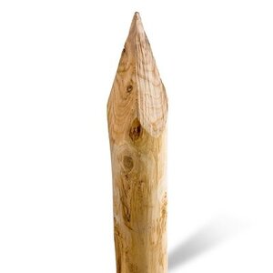 Duurzaam Hout Kastanje 2,5M. Ø 12/14 A+