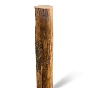 Duurzaam Hout Kastanje 4M. Ø 06/08